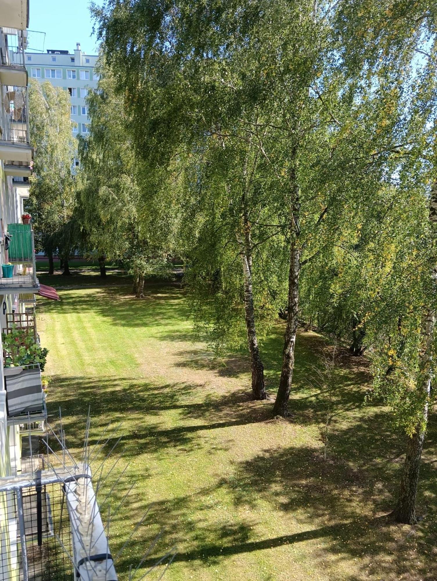 Apartament Telimena Olsztyn  Extérieur photo